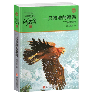 一只猎雕的遭遇/动物小说大王沈石溪品藏书系 适合四五六年级儿童的课外启发读物教辅 少儿文学小说故事书 浙江少年儿童出版社