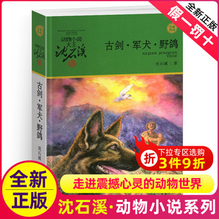 完整版 古剑军犬野鸽沈石溪正版 社非注音版 书目 小学四年级五年级全集全套书浙江少年儿童出版 动物小说大王品藏书系课外阅读适用经典