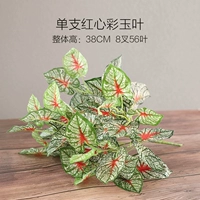 Однократные нефритовые листья цвета красного сердца (исключая горшки)