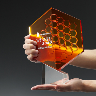 齐心协力奖牌琉璃奖盘定制团队表彰颁奖奖杯蜂巢培新机构纪念品