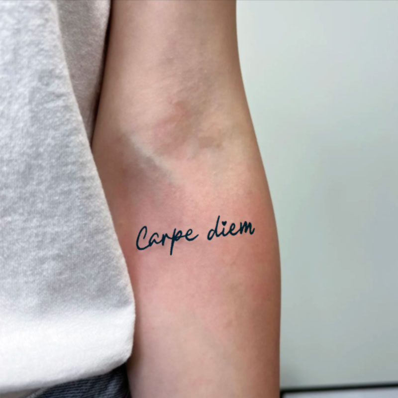 YCTF草本纹身贴纹身贴英文短语carpediem小众ins风手臂手腕锁骨