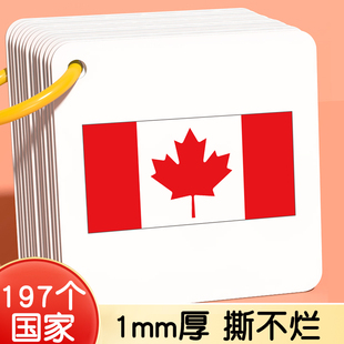 国旗认知卡片认识世界儿童各国国家看图大全识字名称早教闪卡玩具
