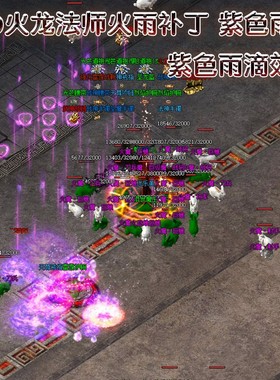 紫色火雨补丁 爱心火墙蓝盾 补丁  道士玫瑰花群毒冰龙飓风破补丁