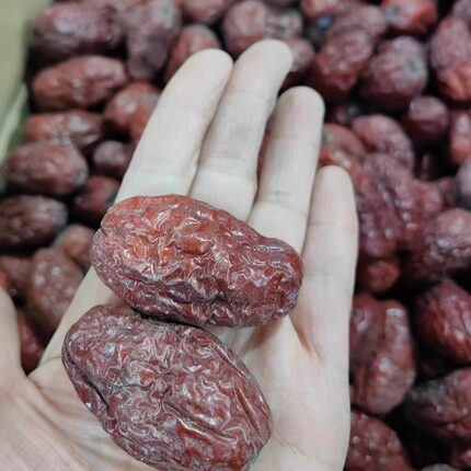 新疆特产正宗马牙枣500g特产红枣干居家办公佳品