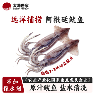 大洋世家 船冻阿根廷鱿鱼大个海鲜新鲜冷冻水产1kg8条装
