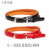 加长胖MM裤 饰连衣裙大码 带小皮带 裙子简约百搭装 漆皮腰带女配衬衫