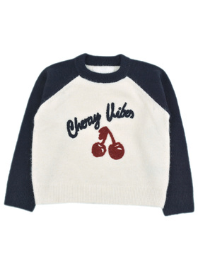 D1671 羊毛混纺字母款男女童百搭针织衫毛衣中大童圆领长袖上衣