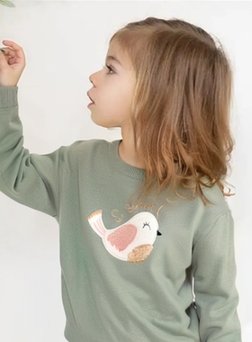 D1265 纯棉男女童婴幼儿宝宝针织衫圆领长袖套头亲肤舒适休闲小童