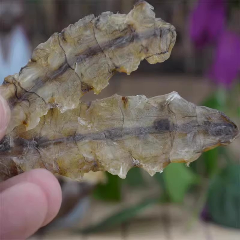 海鲜水产虾婆鲜活虾姑琵琶虾虾爬子皮皮虾干富贵虾鲜活螳螂虾新鲜