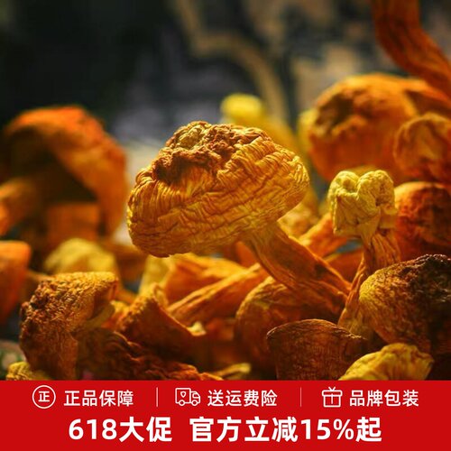 古田特产精选250g包邮姬松茸干货