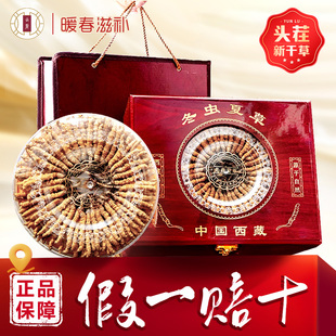 新鲜冬虫夏草官方正品 西藏新鲜虫草10克头期干货礼盒送长辈好礼品