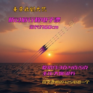 防过底硬尾行程夜光漂日夜两用高亮灵敏黑坑水库电子漂长杆甩大鞭