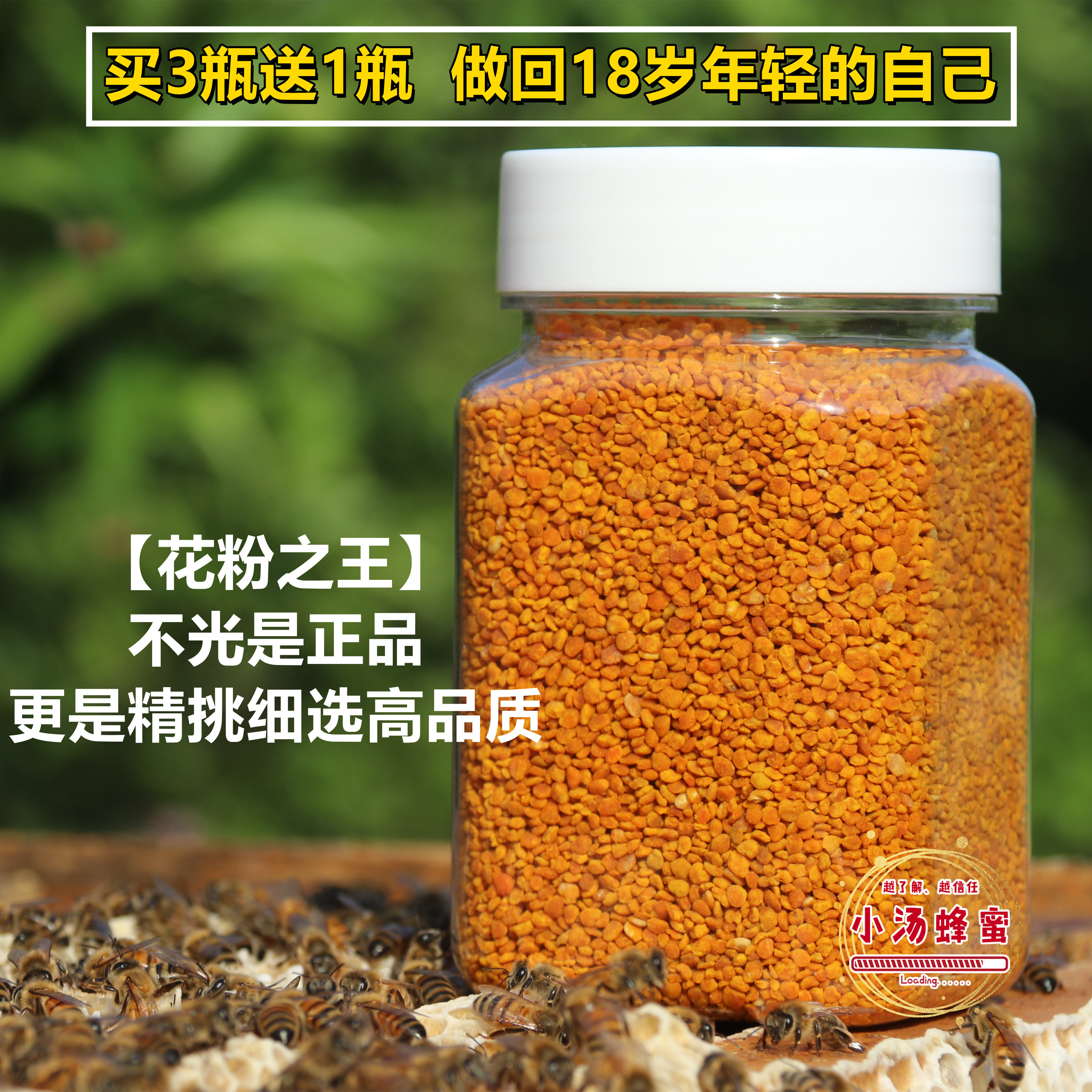 蜂花粉纯天然纯正多少钱 蜂花粉纯天然纯正优惠券免费领取 有条鱼