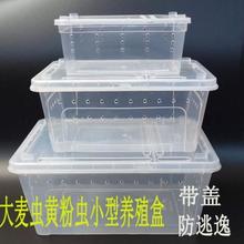 蚯蚓堆肥箱养殖箱家用蚯蚓养殖箱防逃用饲养蚯蚓箱 红虫养殖盒