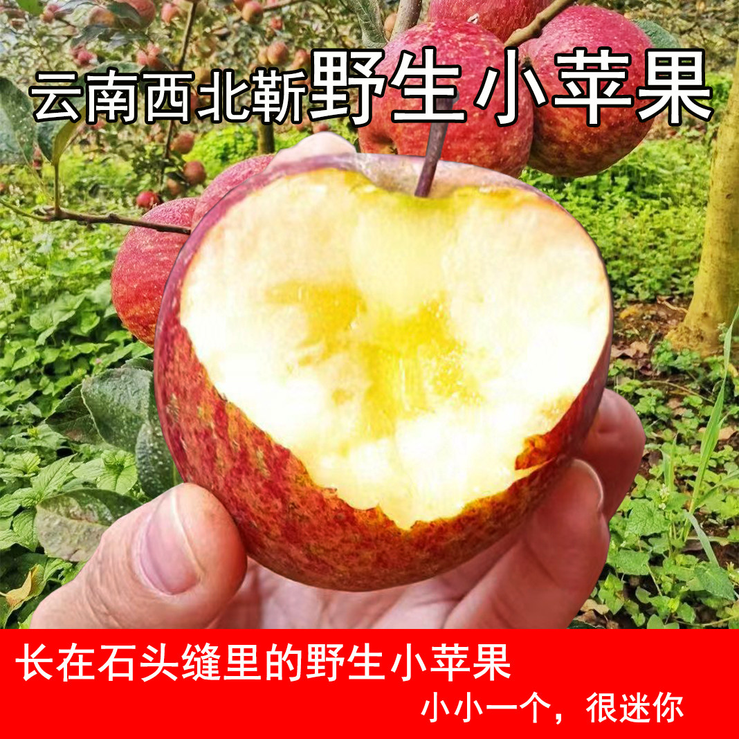 云南野生冰糖心丑苹果非西北勒小苹果脆甜新鲜应季生态水果10斤,水产肉类/新鲜蔬果/熟食,苹果,淘宝优惠券,粉丝福利购,淘宝优惠卷
