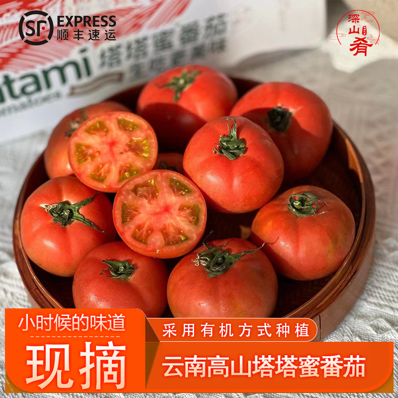 云南彩色塔塔蜜番茄草莓西红柿水果番茄生态种植放心蔬果铁皮柿子