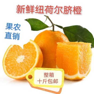 湖南特产湖南黔阳甜橙纽荷尔脐橙新鲜水果10斤包邮