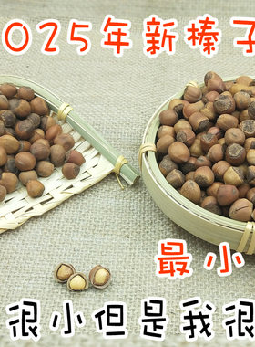 东北特产饱满水漏手拍新货榛子