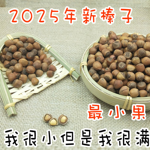 东北特产饱满水漏手拍新货榛子