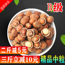 野生榛子新鲜水漏铁岭东北特产炒熟原味坚果干果小榛子零食包邮