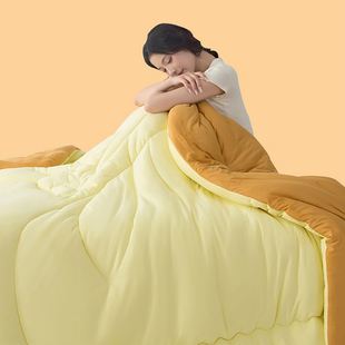 四季通用大豆纤维被子冬被加厚保暖棉被芯春秋单人夏凉空调被秋冬