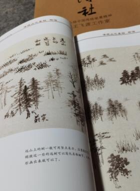 王飞涯传统山水画旧版教材清仓