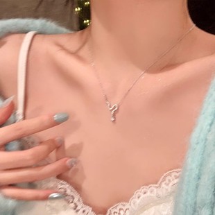 S925纯银抽拉本命年招财灵蛇项链生肖蛇流苏毛衣链轻奢高级感秋冬