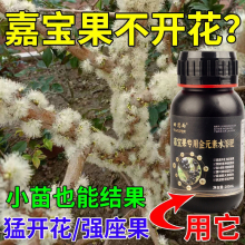 嘉宝果苗树专用肥料生根水强力催花保果全元素有机肥树葡萄营养液