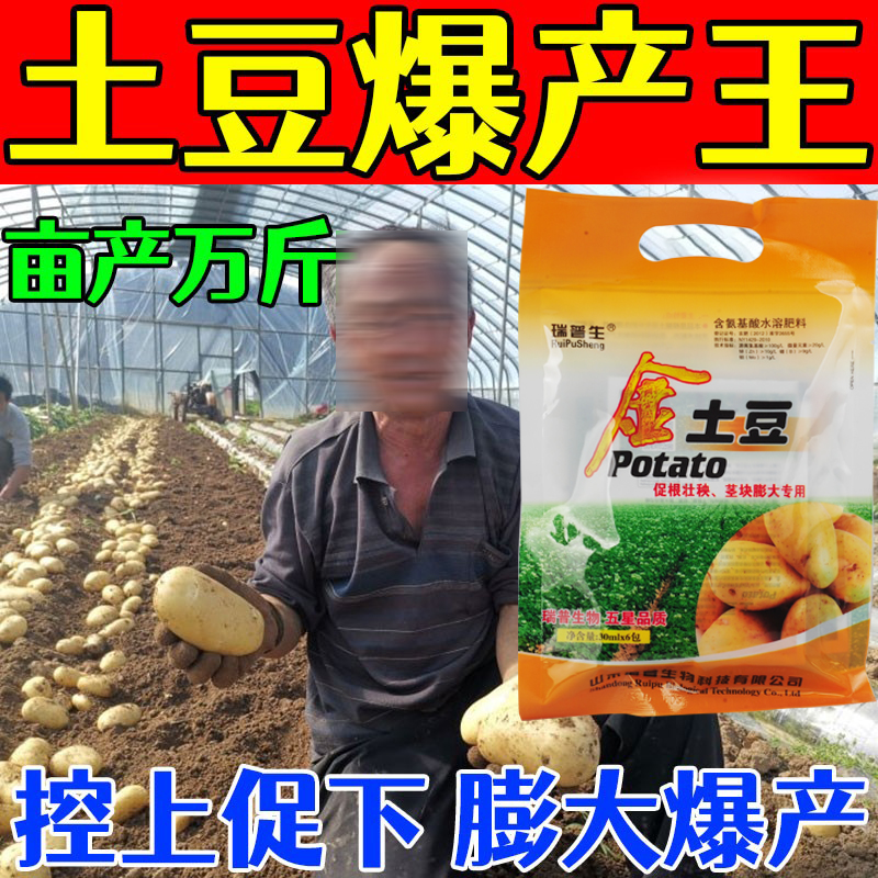 瑞普生土豆专用膨大叶面肥