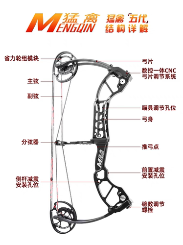 猛禽五代两用复合弓户外运六代动大威力钢珠射箭轮滑弓高精度弓箭