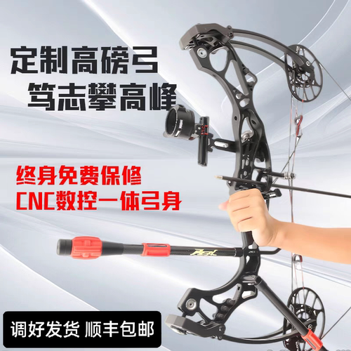 胜算3.0高速复合弓短轴