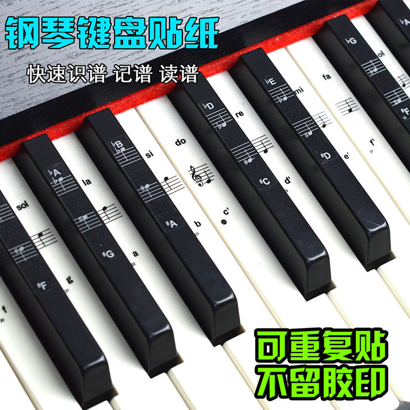 88键61键54键37键32键钢琴键盘琴键贴膜电子琴五线谱贴纸初学者