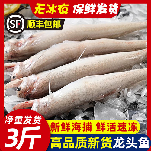 精品新货豆腐鱼龙头鱼新鲜无冰衣