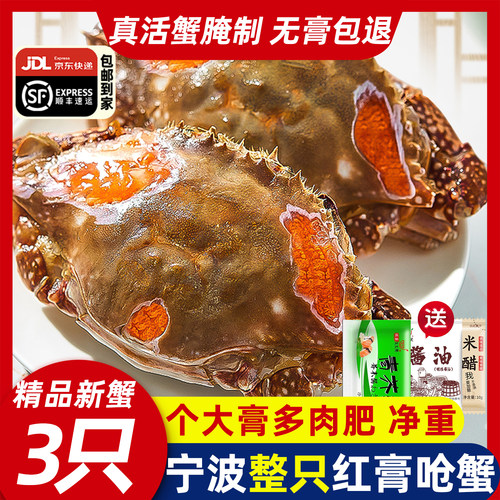 净重宁波舟山红膏呛蟹鲜活蟹腌制