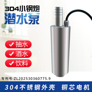 小能豆304不锈钢微型潜水泵抽酒泵抽酒器牛奶豆浆泵抽海水尿素泵