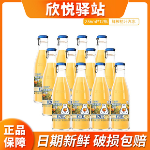 北平制冰厂鲜榨桔汁汽水玻璃瓶装236ML*12瓶 一口劲爽就选鲜榨