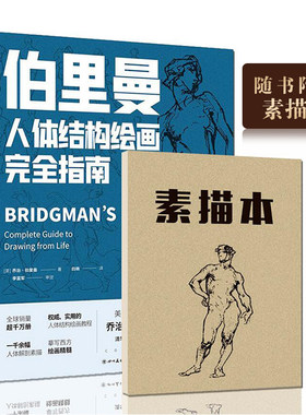 伯里曼人体结构绘画完全指南