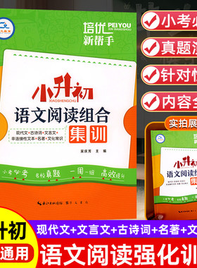小升初语文阅读组合集训
