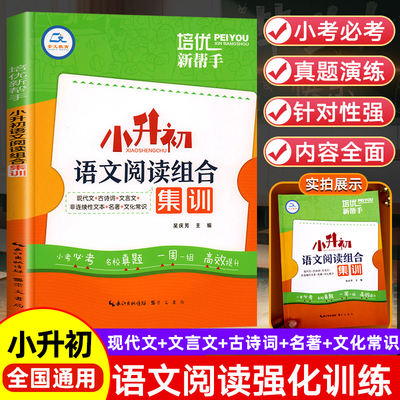 六年级语文阅读理解专项训练书小升初语文阅读组合集训人教版课外阅读每日一练小学生6年级文言文现代文古诗词名著组合强化练习