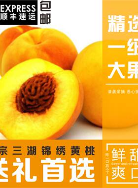 湖北三湖锦绣黄桃10斤装现货