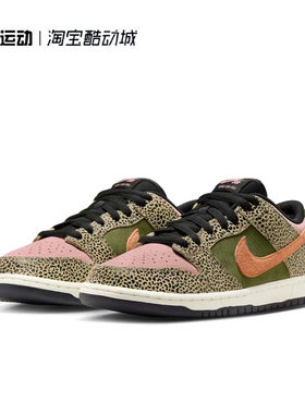 Nike x Arts-Rec SB Dunk Low Pro 百搭低帮板鞋 男鞋 IH3211-200