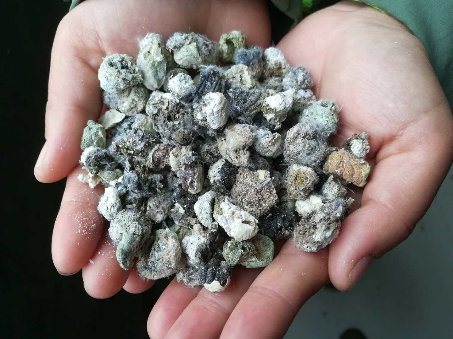 农家鸽子粪,有机肥,花肥,蔬菜肥,蔬菜花卉绿植果树肥,干鸡粪