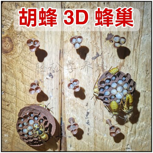 3孔3D蜂巢人工蜂巢础 养殖胡蜂马蜂黄脚黑盾红娘黑尾金环胡蜂巢础
