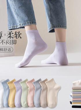 白色袜子纯棉中筒短袜女透气防臭无骨运动袜春夏吸汗不闷脚糖果色