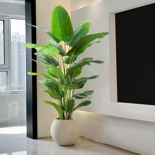 仿真绿植天堂鸟客厅轻奢电视柜落地摆件仿生花室内大型盆栽假植物