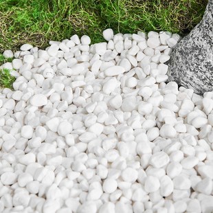 仿真植物庭院景观造景摆件鹅暖石白色石子落地盆栽绿植铺面装饰