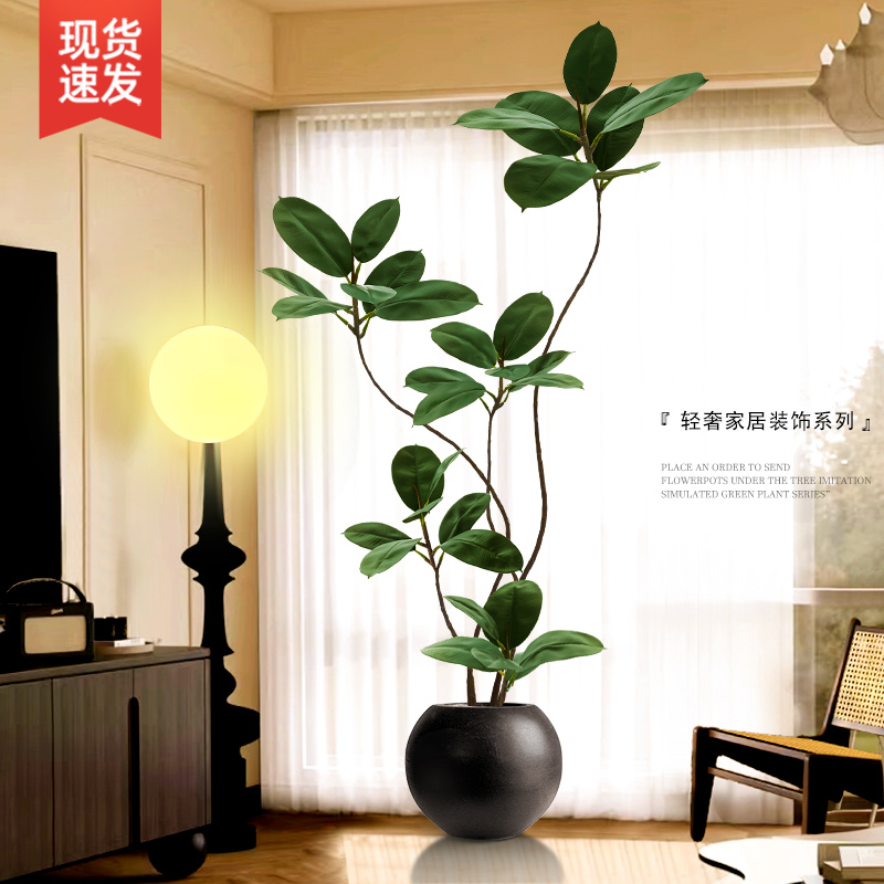 旺宅绿橡树易打理黑金刚仿真绿植