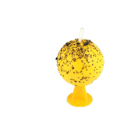 【领券立减10元！】果蝇诱捕器