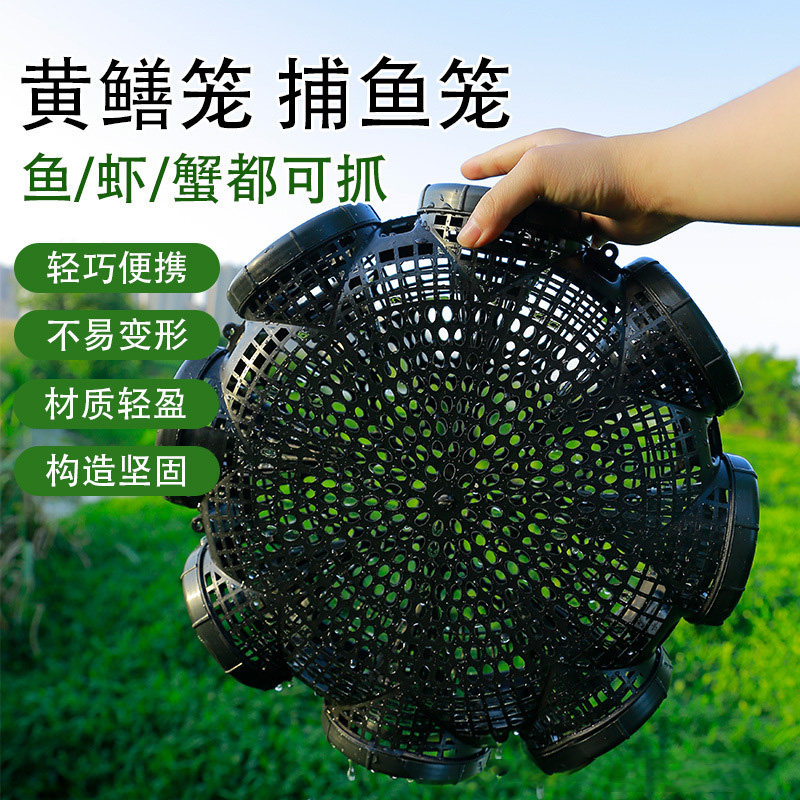 黄鳝笼子捕鱼笼八孔泥鳅笼虾笼抓鱼笼装鱼篓捉鱼神器地网笼花篮网