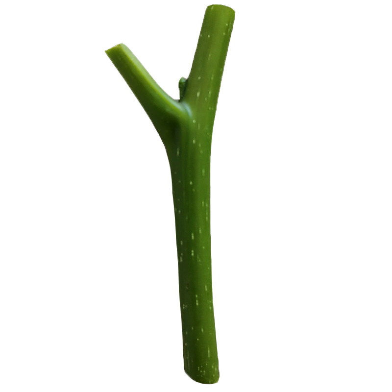紫皮核桃薄皮辽系清香香玲食用核桃夏季绿枝芽接接穗码子新鲜贴芽图片